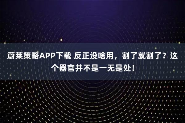 蔚莱策略APP下载 反正没啥用，割了就割了？这个器官并不是一无是处！